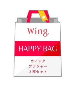 Wing 福袋 「福袋」　ウイング　ブラジャー　3枚セット