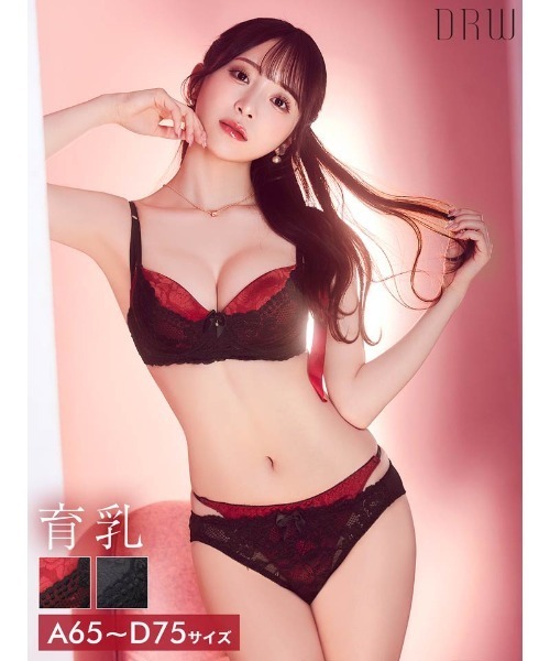 ブラジャー ショーツセット 「選べるショーツ」ラグジュアリーサテンローズ 育乳脇高 ブラジャー&フルバック or Tバックショーツ - 画像 (6)