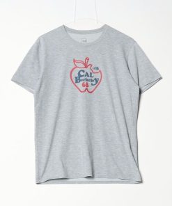 THE NORTH FACE 「THE FACE」 半袖Tシャツ L グレー メンズ