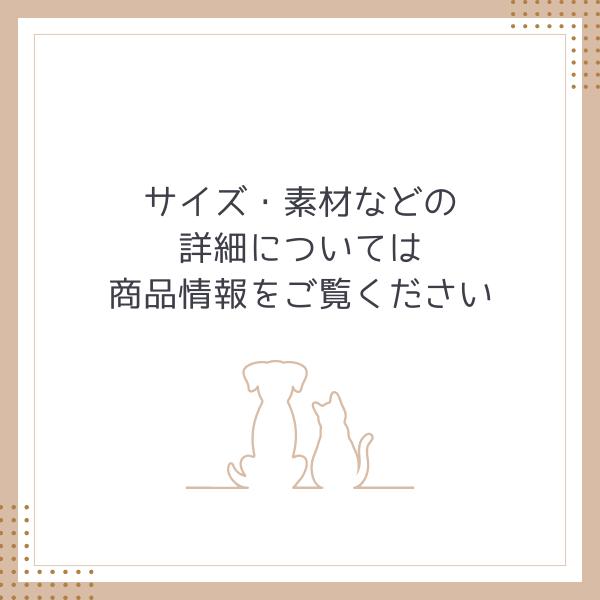 Printstar 半袖Tシャツ 名入れ ぐんまちゃん プレゼント 群馬県 ギフト 愛犬とおそろい お揃い おしゃれ 誕生日 S M L XL XXL XXXL WM WL / - 画像 (3)