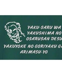 ふるさと納税 やくさるTシャツDRY　Lサイズ 【緑】 鹿児島県屋久島町