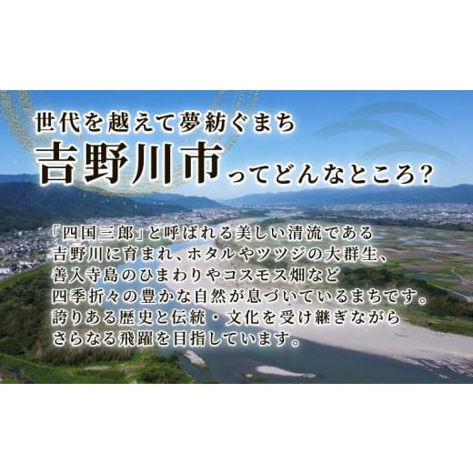 ふるさと納税 小物 徳島県 吉野川市 ポーチ コスメポーチ カラー : ストライプブラウン コスメ メイク 小物入れ 旅行 トラベル バッグインバッグ バッグ かば… - 画像 (6)