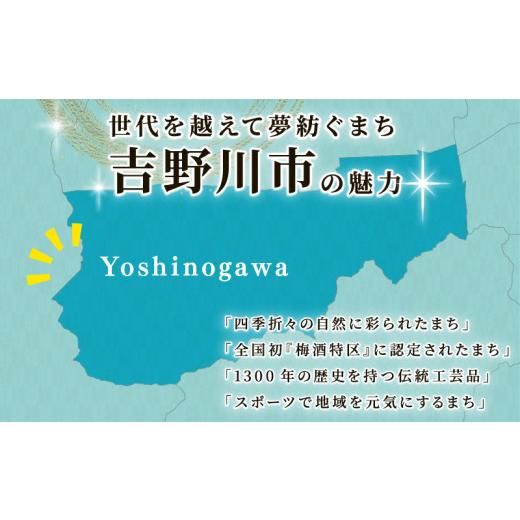 ふるさと納税 小物 徳島県 吉野川市 ポーチ コスメポーチ カラー : ストライプブラウン コスメ メイク 小物入れ 旅行 トラベル バッグインバッグ バッグ かば… - 画像 (7)