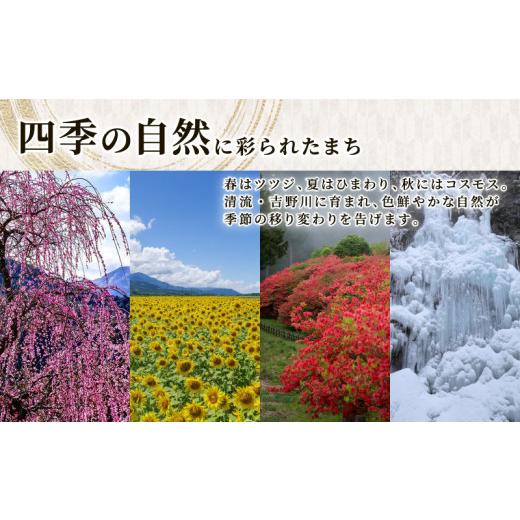 ふるさと納税 小物 徳島県 吉野川市 ポーチ コスメポーチ カラー : ストライプブラウン コスメ メイク 小物入れ 旅行 トラベル バッグインバッグ バッグ かば… - 画像 (8)
