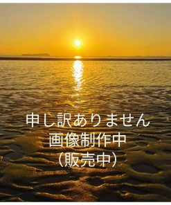 弘進ゴム/シーグランド ３D パーカー/レインジャケット・ヤッケ サイズ：S カラー：オレンジ