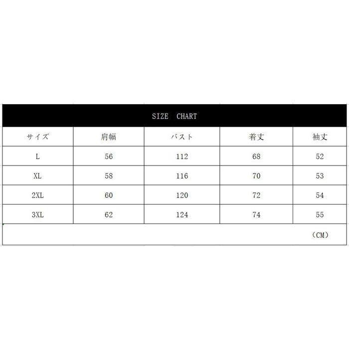 ポロシャツ メンズ ビジネス 長袖 ポロ 長袖ポロシャツ カジュアル トップス カジュアルシャツ Tシャツ シンプル 秋 冬 - 画像 (4)