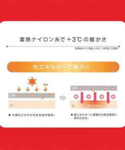 ATSUGI アツギ ホカロン タイツ 110デニール