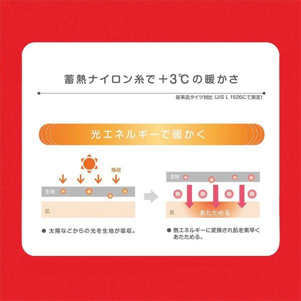 ATSUGI アツギ ホカロン タイツ 110デニール