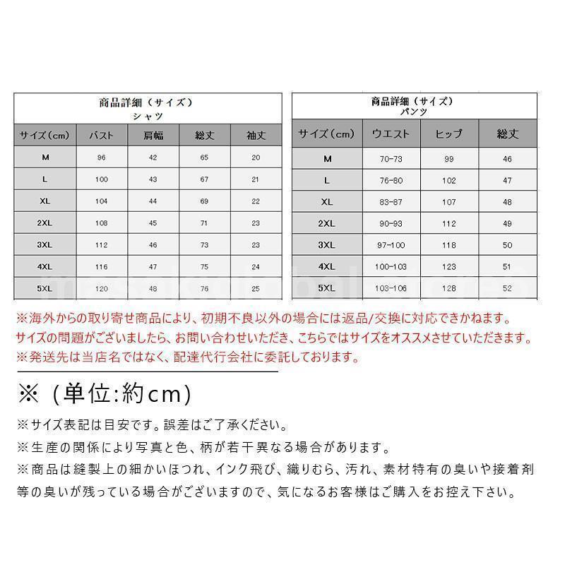 【値下げ】セットアップ 夏 上下セット メンズ カジュアル 父の日 部屋着 薄手 ゆったり リネン 通気性 接触冷感 普段着 通学 大人 無地 シンプル - 画像 (8)
