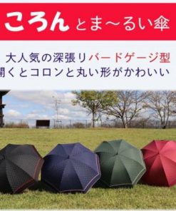 ふるさと納税 田原本町 ドーム型 傘 レディース 雨傘 長傘 細身 深張り 水玉 手開き 162103 ブラック